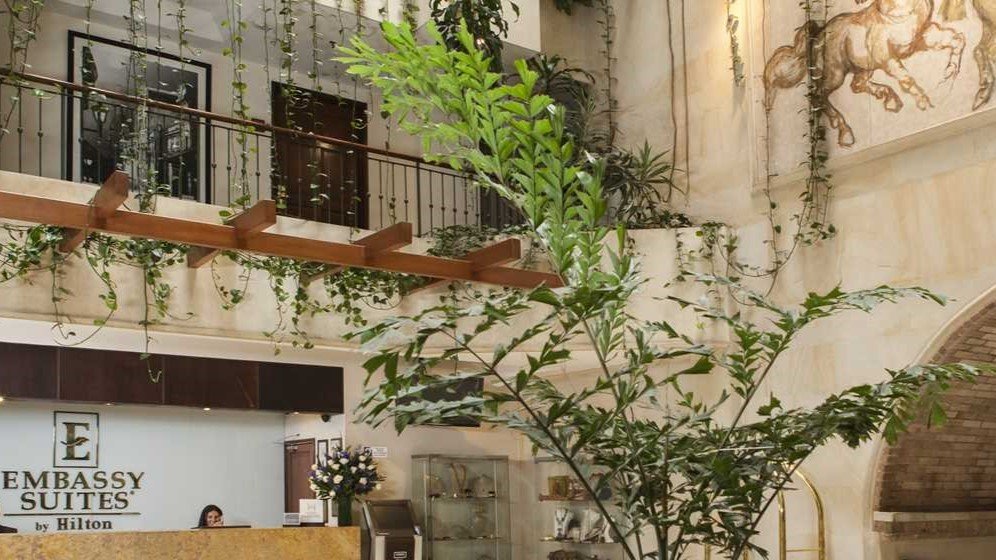 Hotel hilton for the say